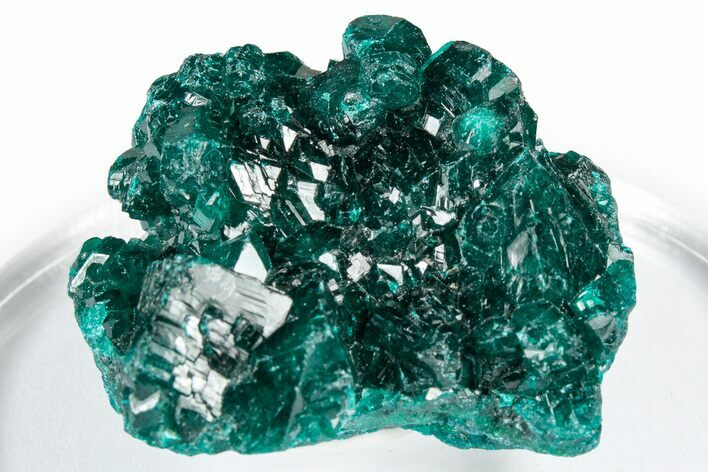 Sparkly Emerald-Green Dioptase Crystal Cluster - Congo #347856